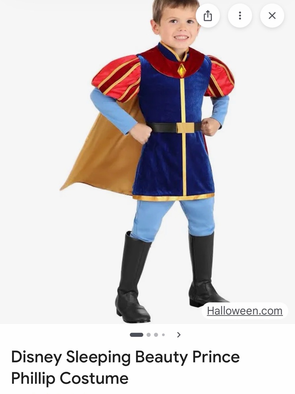 Disney Prince Phillip Costume in Blue, Red & Gold